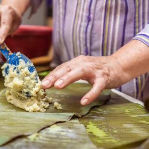 Tamales-a-domicilio